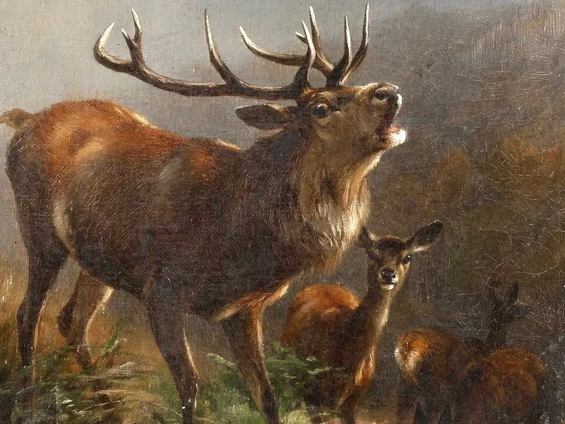 1855-Anton Schmitz - Cervo ruggente
